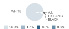 Conneaut Valley Elementary School Student Race Distribution