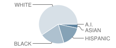 J T Lambert Intermediate School Student Race Distribution