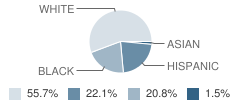 Bushkill Elementary School Student Race Distribution