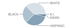 Middle Smithfield Elementary School Student Race Distribution