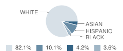 Akron Elementary School Student Race Distribution