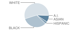 Evergreen Elementary School Student Race Distribution