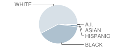 East Side Elementary School Student Race Distribution