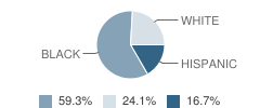 George Jr Republic Middle School Student Race Distribution