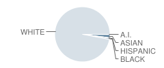 Central Elementary School Student Race Distribution