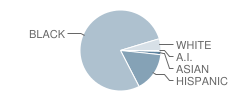 Woodward School @ Ben Franklin Student Race Distribution