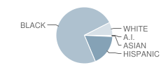 Melrose School Student Race Distribution