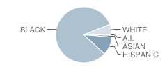 Camp Curtin School Student Race Distribution