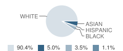 Chatham Park Elementary School Student Race Distribution