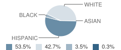 West Hazleton Elementary / Middle School Student Race Distribution