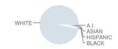 Lehman-Jackson Elementary School Student Race Distribution