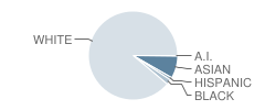 Belmont Hills Elementary School Student Race Distribution