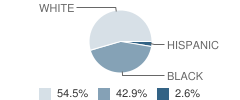 Monessen Middle School Student Race Distribution