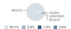 Montour High School Student Race Distribution