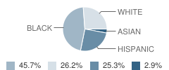 Marshall Street Elementary School Student Race Distribution