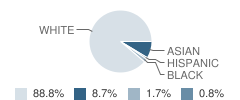Mcknight Elementary School Student Race Distribution