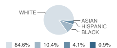 Northeastern Middle School Student Race Distribution