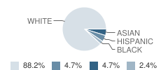 Pine Street Elementary School Student Race Distribution