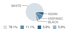 Kratzer School Student Race Distribution