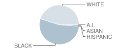 Penn Hills High School Student Race Distribution