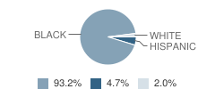 Spring Garden School Student Race Distribution