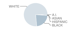 Roosevelt Elementary School Student Race Distribution