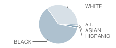 Dilworth Traditional Academy Student Race Distribution