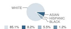 Ridge Park Elementary School Student Race Distribution