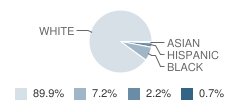 Lengel Middle School Student Race Distribution