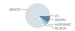 Radnor Elementary School Student Race Distribution