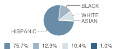 Riverside Elementary School Student Race Distribution