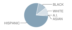 Southern Middle School Student Race Distribution