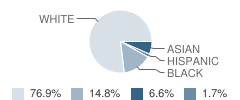 Media Elementary School Student Race Distribution