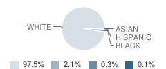 South Allegheny Middle School / High School Student Race Distribution