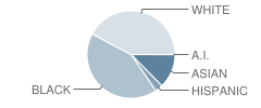 Upper Darby High School Student Race Distribution