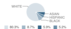 J R Fugett Middle School Student Race Distribution