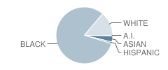 Aldan Basics School Student Race Distribution