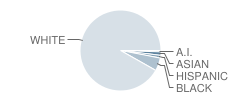 Lycoming Valley Middle School Student Race Distribution