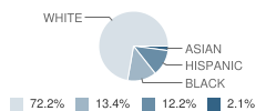 Wilson Borough Elementary School Student Race Distribution