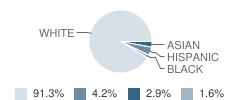 Lincoln High School Student Race Distribution