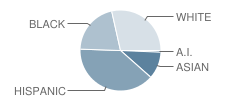 Classical High School Student Race Distribution