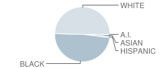 Barnwell Elementary School Student Race Distribution