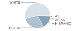 Oakwood- Windsor Elementary School Student Race Distribution