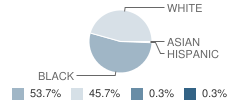 Williston Elko High School Student Race Distribution