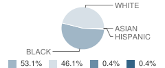 Williston-Elko Middle School Student Race Distribution