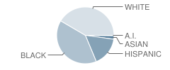 Shell Point Elementary School Student Race Distribution