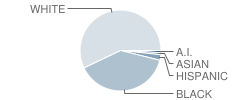 Berkeley High School Student Race Distribution