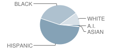 Midland Park Elementary School Student Race Distribution