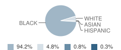 Mitchell Elementary School Student Race Distribution