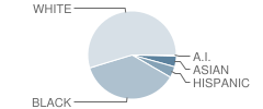 Springfield Elementary School Student Race Distribution